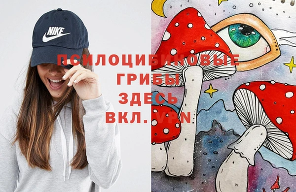 гидропоника Балабаново
