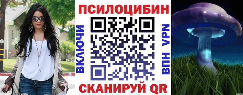 Псилоцибиновые грибы Psilocybine cubensis  Давлеканово 